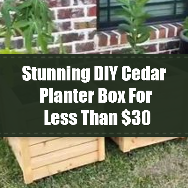 Stunning DIY Cedar Planter Box For Less Than $30