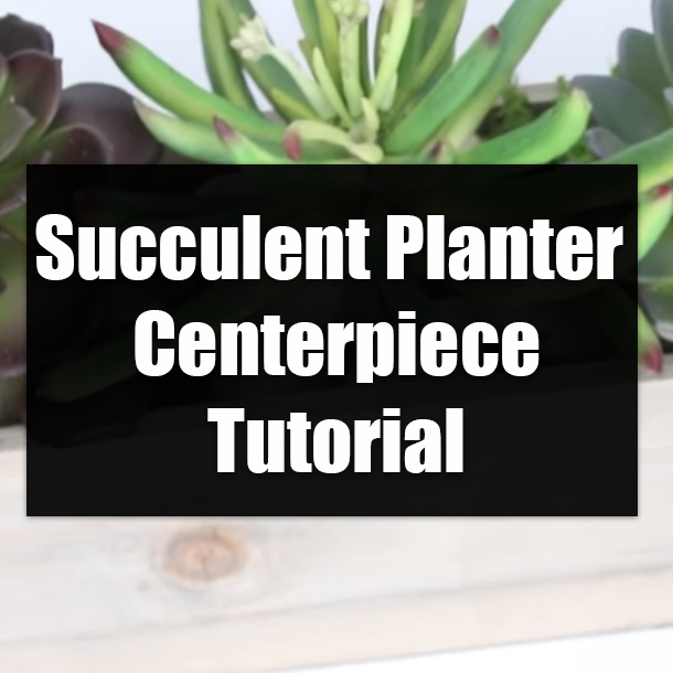 Succulent Planter Centerpiece Tutorial