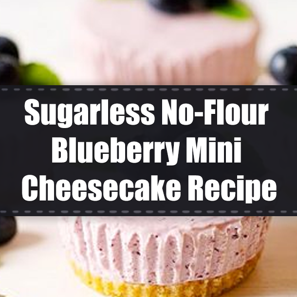 Sugarless No-Flour Blueberry Mini Cheesecake Recipe