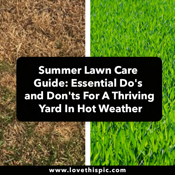 Summer Lawn Care Guide: Essential Do's and Don'ts For A Thriving Yard In Hot Weather