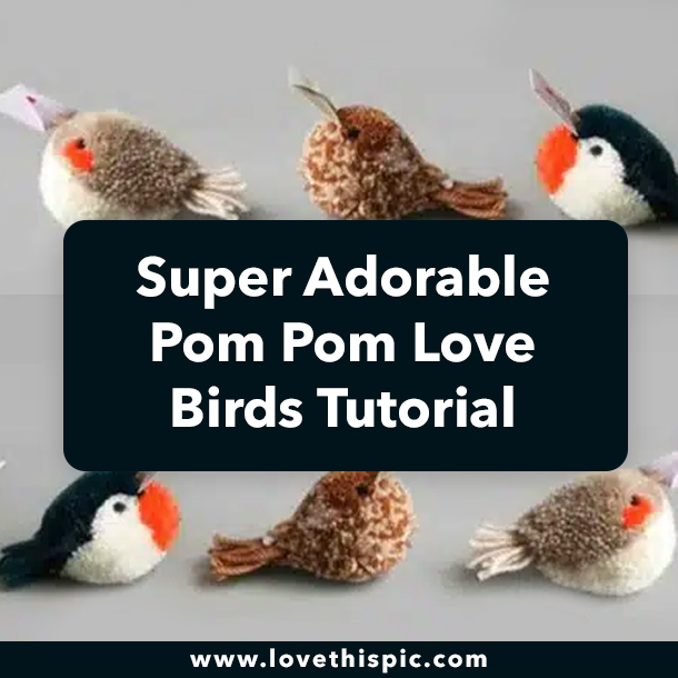 Super Adorable Pom Pom Love Birds Tutorial