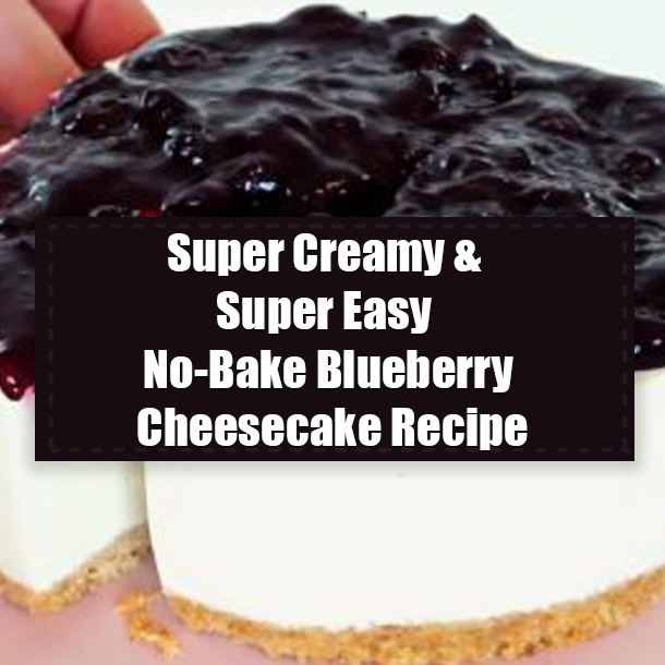 Super Creamy & Super Easy No-Bake Blueberry Cheesecake Recipe