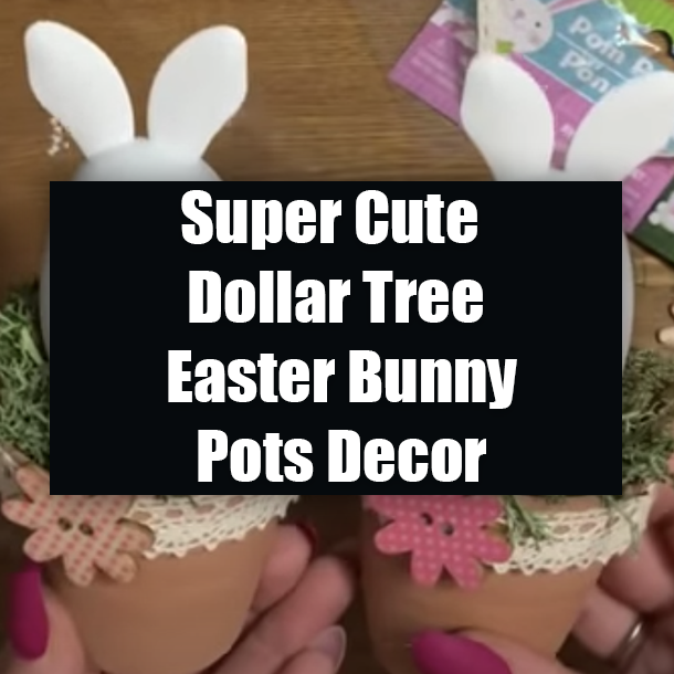 Super Cute Dollar Tree Easter Bunny Pots Decor