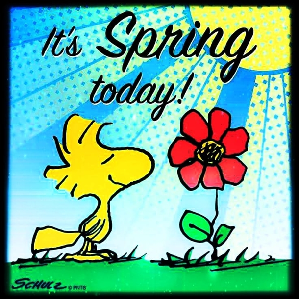 Super Cute Spring Greetings & Quotes - picture 3