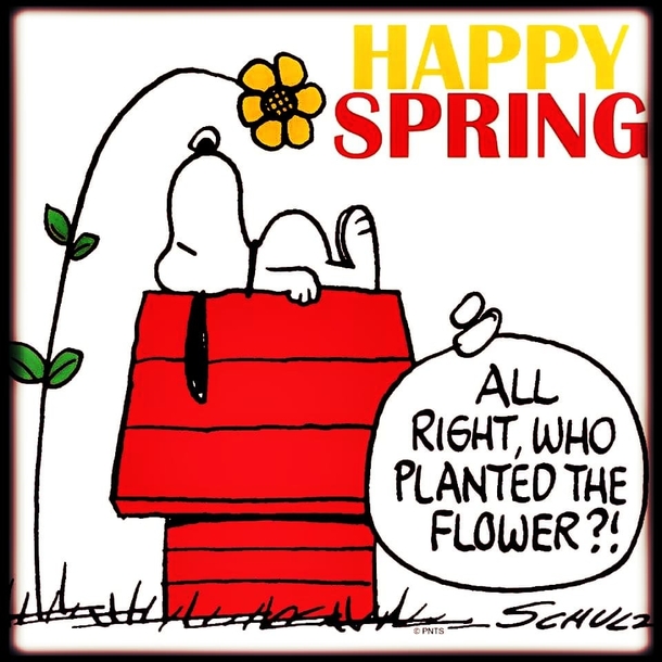 Super Cute Spring Greetings & Quotes - picture 4