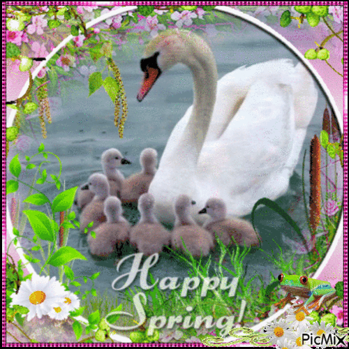 Super Cute Spring Greetings & Quotes - picture 6