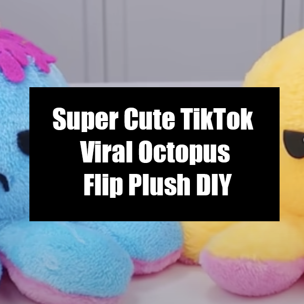 Super Cute TikTok Viral Octopus Flip Plush DIY