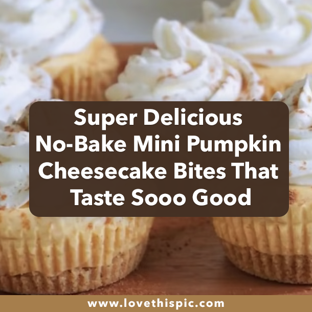 Super Delicious No-Bake Mini Pumpkin Cheesecake Bites That Taste Sooo Good