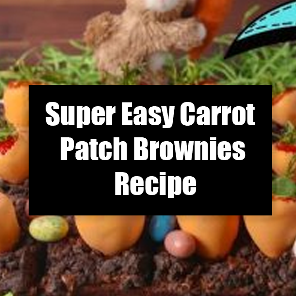 Super Easy Carrot Patch Brownies Recipe
