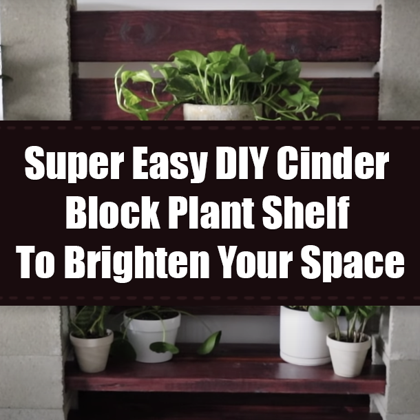Super Easy DIY Cinder Block Plant Shelf To Brighten Your Space