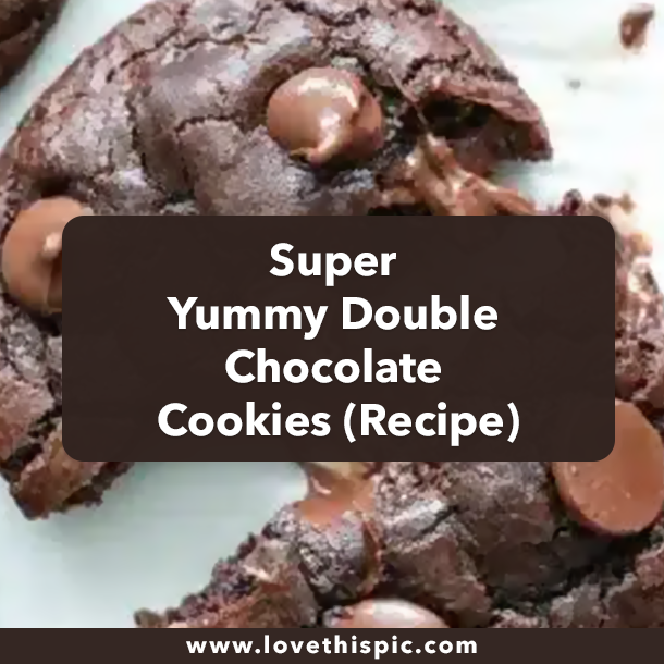 Super Yummy Double Chocolate Cookies (Recipe)