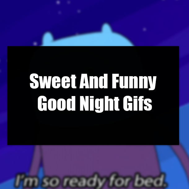 Sweet And Funny Good Night Gifs