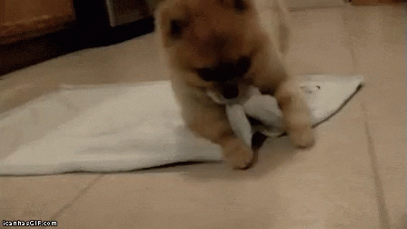 Sweet And Funny Good Night Gifs - picture 11