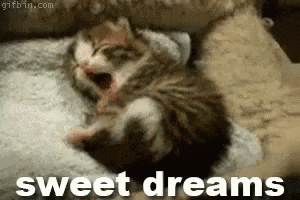 Sweet And Funny Good Night Gifs - picture 4