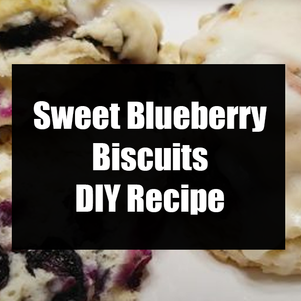 Sweet Blueberry Biscuits DIY Recipe