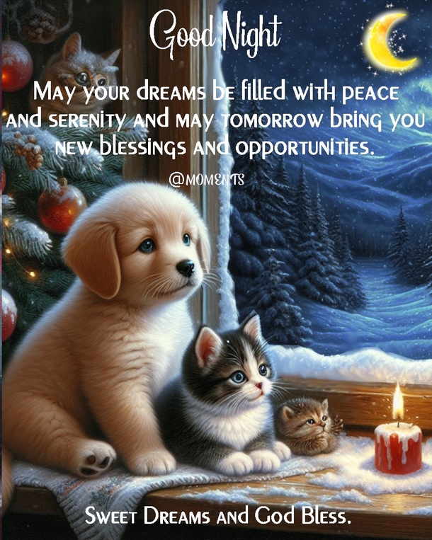 Sweet Dream Blessings: 10 Good Night Wishes In 2024 - picture 4