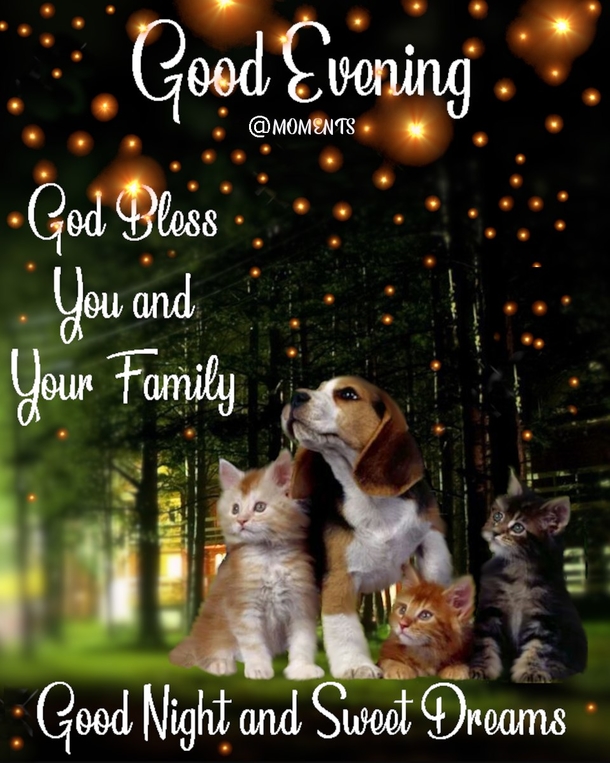 Sweet Dream Blessings: 10 Good Night Wishes In 2024 - picture 5