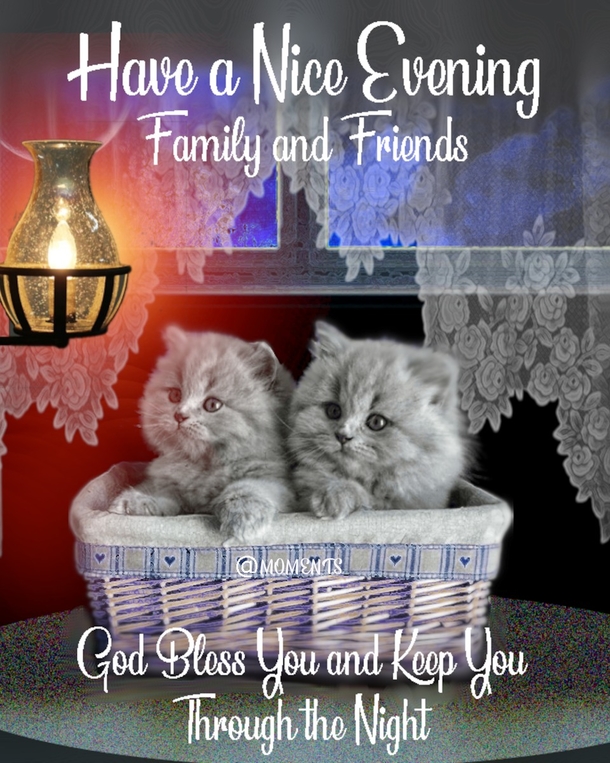 Sweet Dream Blessings: 10 Good Night Wishes In 2024 - picture 6