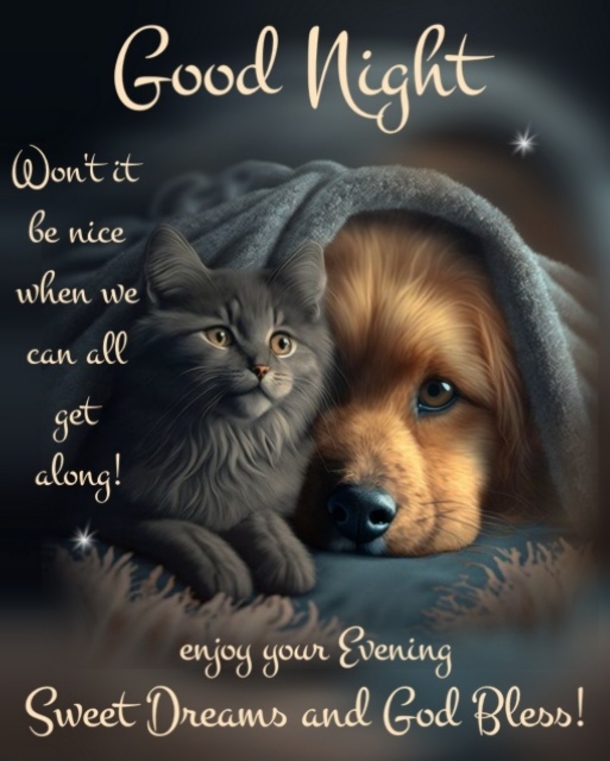 Sweet Dreams: 10 Beautiful and Passionate Good Night Quotes, Sayings, and Messages to End Your Day with Love - picture 10