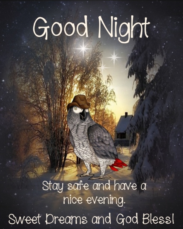 Sweet Dreams: 10 Beautiful and Passionate Good Night Quotes, Sayings, and Messages to End Your Day with Love - picture 2