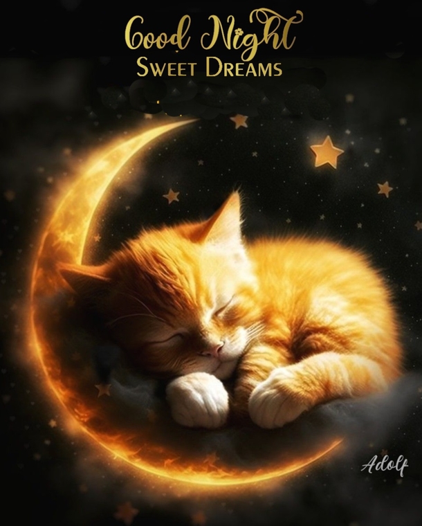 Sweet Dreams Guaranteed: 10 Cute Good Night Blessings and Quotes - picture 10