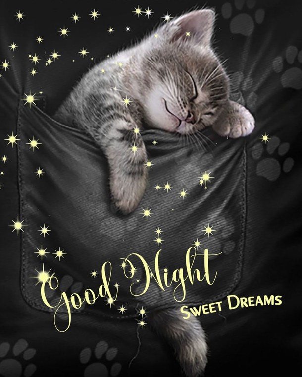 Sweet Dreams Guaranteed: 10 Cute Good Night Blessings and Quotes - picture 11