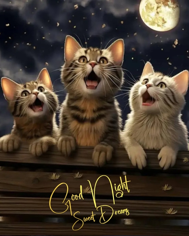 Sweet Dreams Guaranteed: 10 Cute Good Night Blessings and Quotes - picture 2