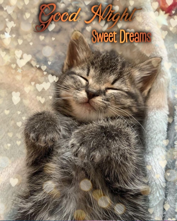 Sweet Dreams Guaranteed: 10 Cute Good Night Blessings and Quotes - picture 6