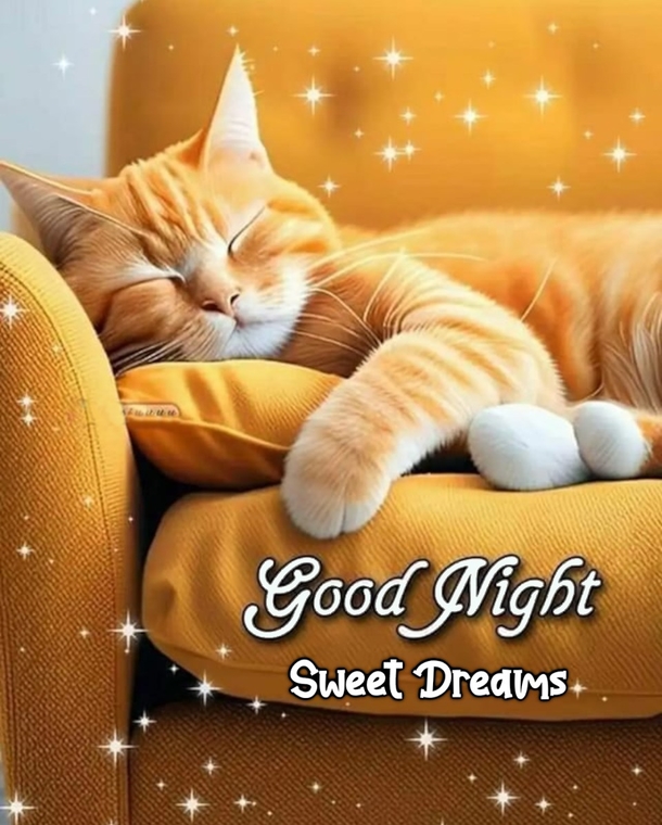 Sweet Dreams Guaranteed: 10 Cute Good Night Blessings and Quotes - picture 7