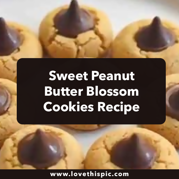 Sweet Peanut Butter Blossom Cookies Recipe