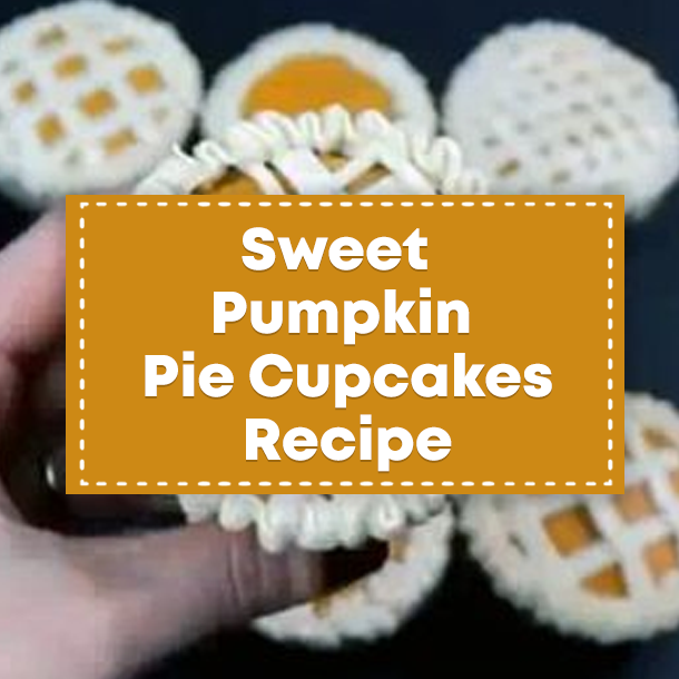 Sweet Pumpkin Pie Cupcakes Recipe