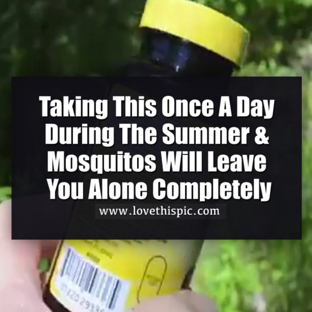 Taking This Once A Day During The Summer & Mosquitos Will Leave You Alone Completely