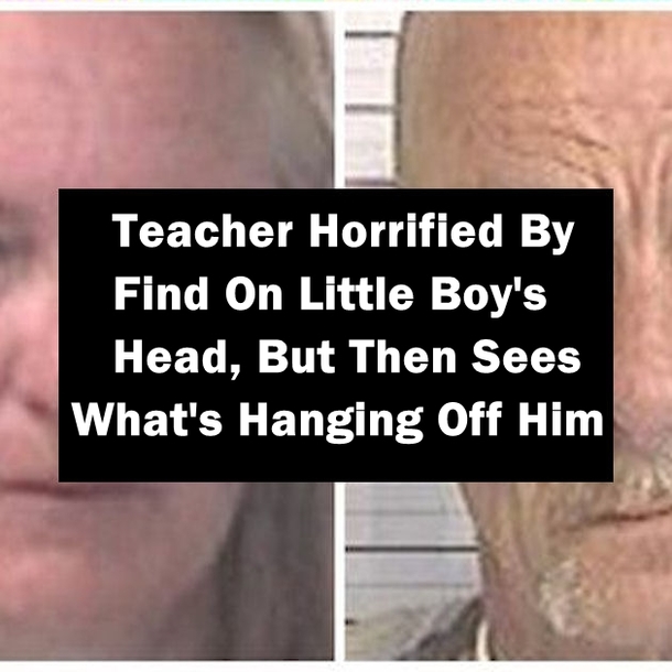 Teacher Horrified By Find On Little Boy's Head, But Then Sees What's Hanging Off Him