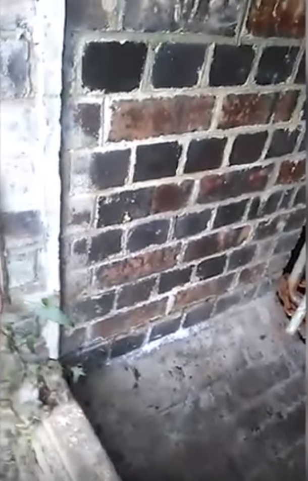 Teen Finds Abandoned House Near Woods, Yells ‘Hello’ Inside. Sent Chills When He Got A Desperate Response - picture 3