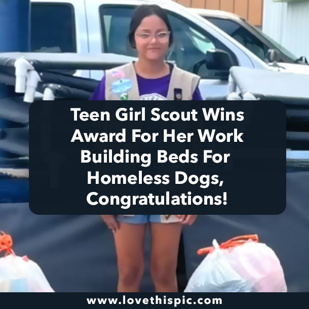 Teen Girl Scout Wins Award For Her Work Building Beds For Homeless Dogs, Congratulations!