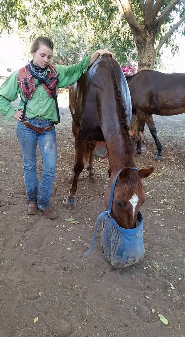 Teen Girl Takes Her Life: Father Sends Brutal Invitation, Teaching Bullies A Lesson They'll Never Forget - picture 6
