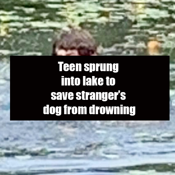 Teen sprung into lake to save stranger’s dog from drowning