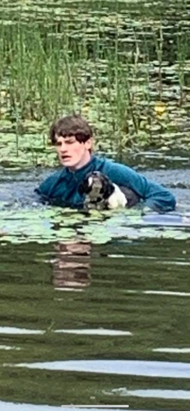 Teen sprung into lake to save stranger’s dog from drowning - picture 2