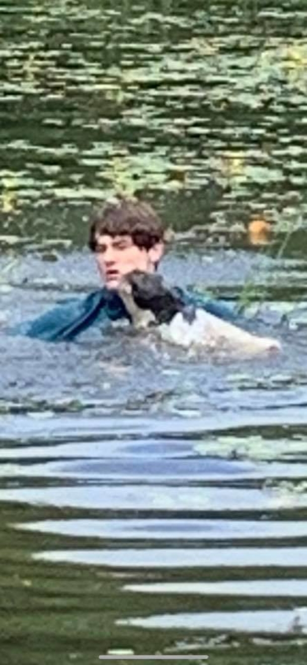 Teen sprung into lake to save stranger’s dog from drowning - picture 3