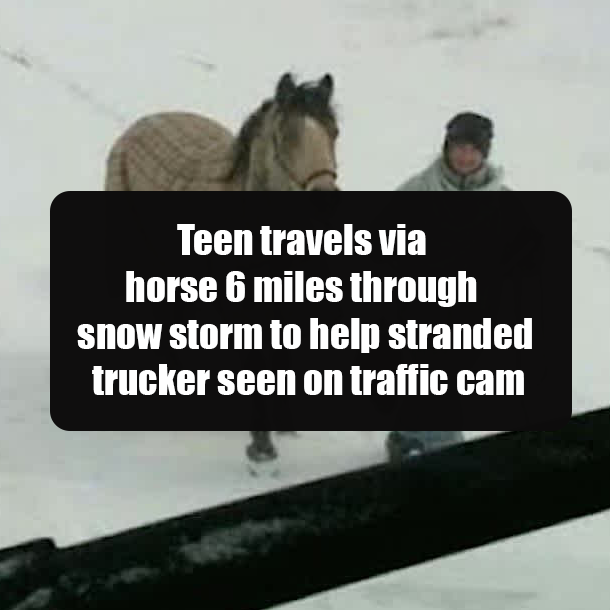 Teen travels via horse 6 miles through snow storm to help stranded trucker seen on traffic cam