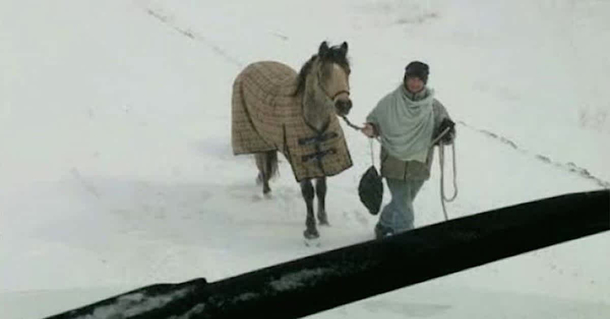 Teen travels via horse 6 miles through snow storm to help stranded trucker seen on traffic cam - picture 2