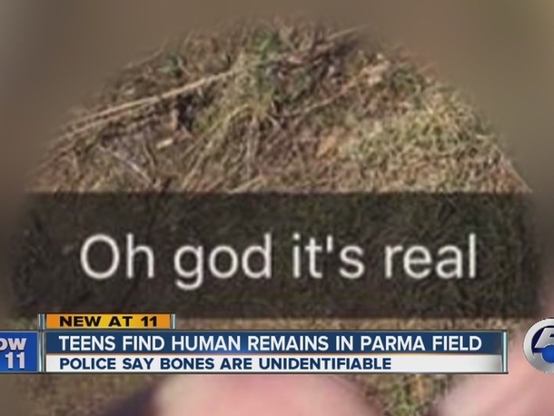 Teenager Makes Unfortunate Find In Field Behind Toys R Us (Photo) - picture 3