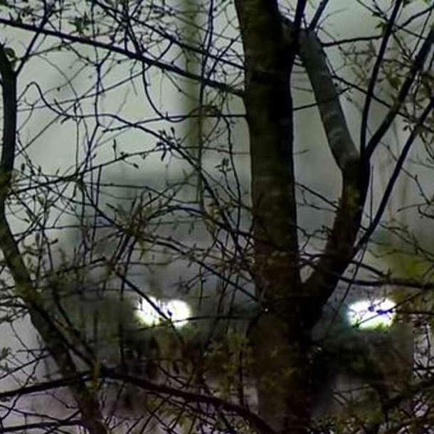 Teens notice strange animal running towards highway at night – realize it’s toddler - picture 3