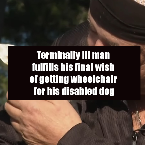 Terminally ill man fulfills his final wish of getting wheelchair for his disabled dog