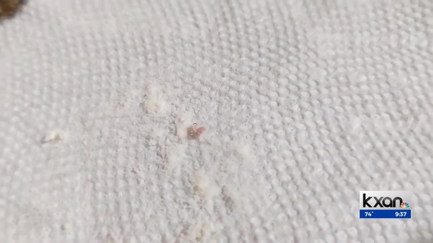Texas Mom's Horrific Discovery: Worm Found in Baby's Formula - picture 2