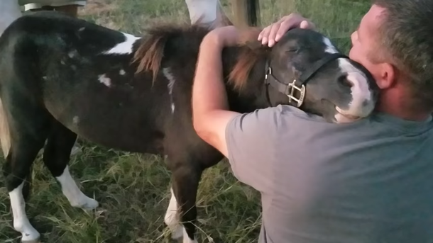 Thankful pony embraces man who saved his life from the slaughterhouse - picture 3