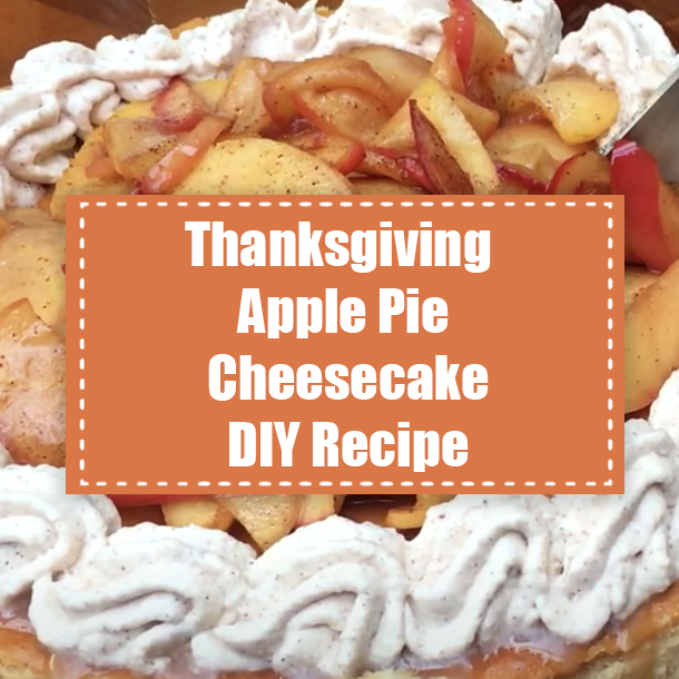 Thanksgiving Apple Pie Cheesecake DIY Recipe