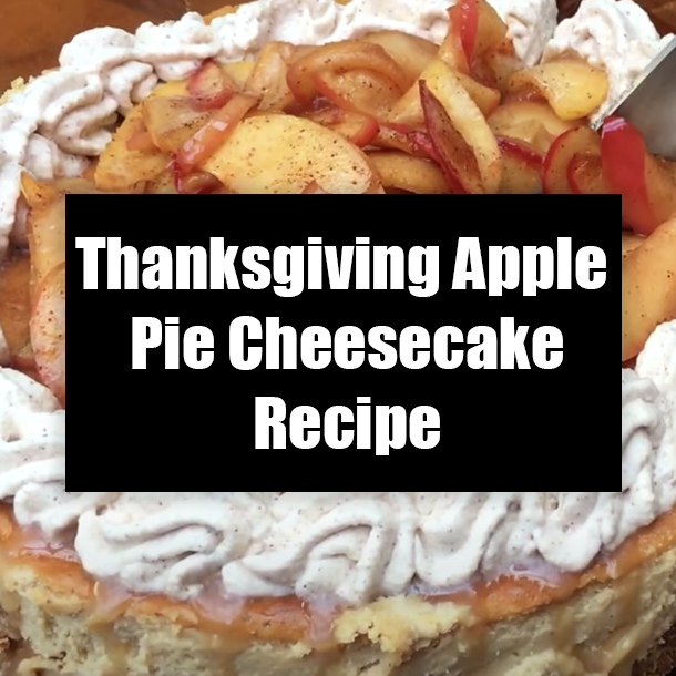 Thanksgiving Apple Pie Cheesecake Recipe