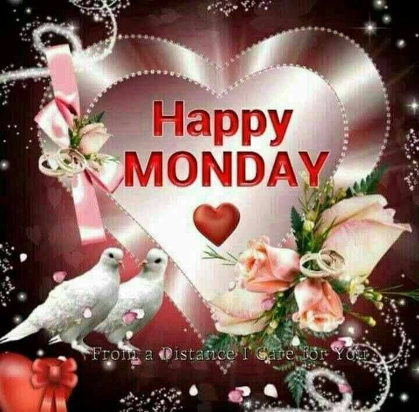 The 10 Best Happy Monday Images And Quotes - picture 6