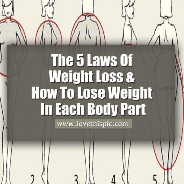 The 5 Laws Of Weight Loss & How To Lose Weight In Each Body Part